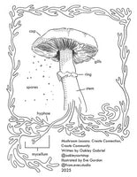 Mushroom Lessons