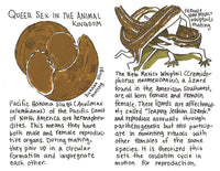 Nature is Queer