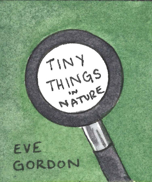 Tiny Things in Nature