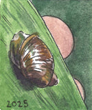 Tiny Things in Nature