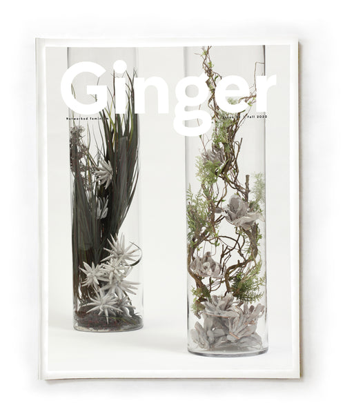 Ginger Issue #22: Fall 2020