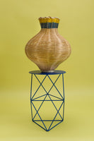 The Amphora Vase